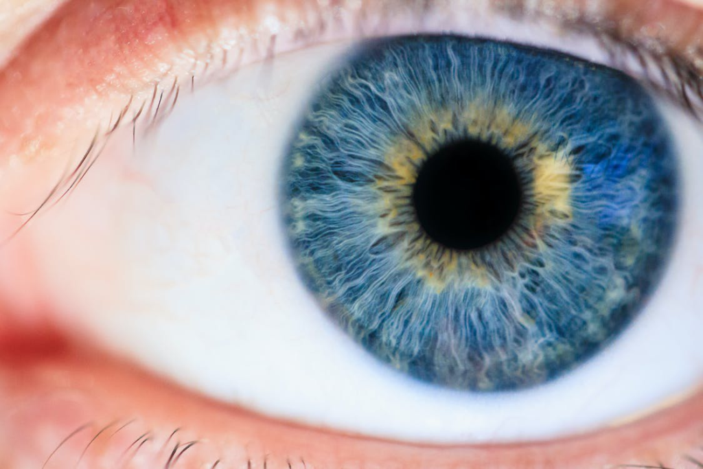 A close-up of the iris with visible traces of the vessels and nerves around the pupil.