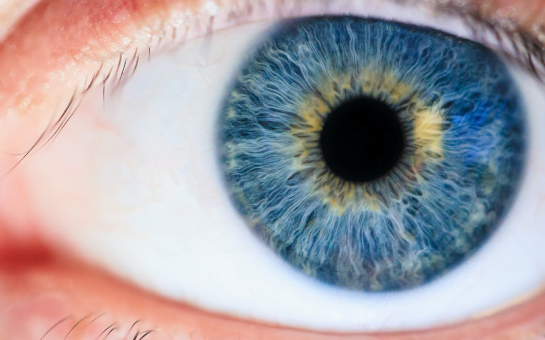 A close-up of the iris with visible traces of the vessels and nerves around the pupil.